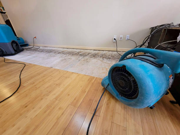 Reliable Basement Flood Cleanup contractor in Stockton, UT by Hirex Water Damage