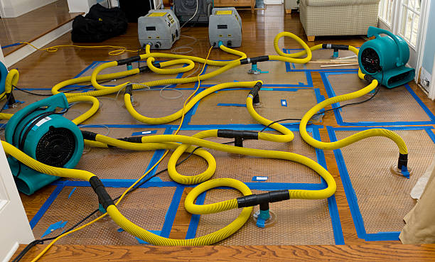Professional Basement Flood Cleanup technician working in Stockton, UT